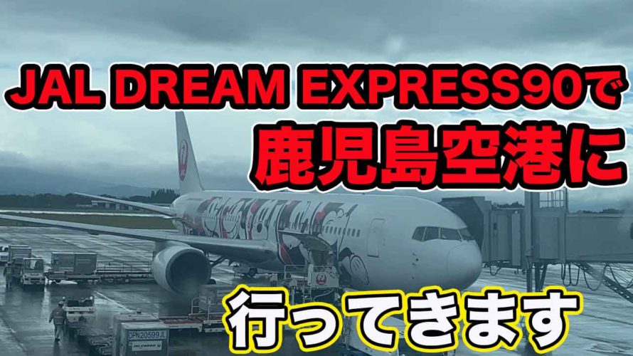 【JAL特別塗装機】DREAM EXPRESS90に乗って羽田空港から、鹿児島空港へ